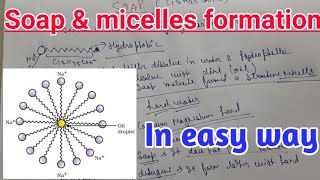 Soap and micelles formation in easy way with brief [upl. by Juieta379]