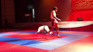 Muay Thai VS Taekwondo [upl. by Anitsud]