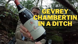 Henri Richard Gevrey Chambertin 2019 [upl. by Eikkin]