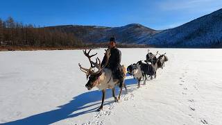 Tsaatan  les derniers nomades de Mongolie [upl. by Seena]