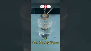 Thermal expansion and contraction 💖 experiment physics science fun amazing shorts viralvideo [upl. by Adnerol]