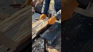 woodcutter dry firewood☀️☀️ woodworking woodwork [upl. by Attevaj]