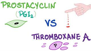 Prostacyclin PGI2 vs Thromboxane A2 TXA2  Bleeding vs Coagulation  Hematology [upl. by Namilus72]