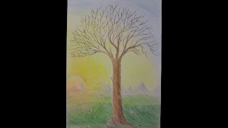 GLI ALBERI  Classi 1E 1F 1G 1H [upl. by Ariahaj825]