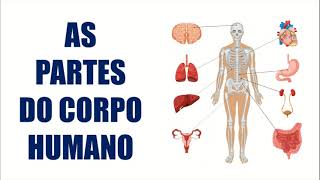 AS PARTES DO CORPO HUMANO  RESUMO ESCOLAR [upl. by Iraj]