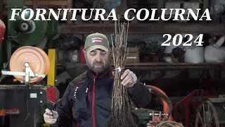 unboxing fornitura Corylus Colurna dalla Fairplant 2024 [upl. by Jarlathus682]