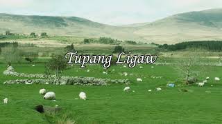 Tupang Ligaw  Minus One with lyrics [upl. by Dyer]