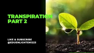 Factors affecting transpiration Adaptations to reduce transpiration Significance of transpiration [upl. by Anelle]