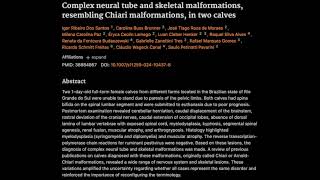 42 Complex neural tube and skeletal malformations resembling Chiari malformations in two calves [upl. by Azalea]