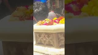 Shri Banke Bihari Teri Aarti gaun🙏🙏🙏 [upl. by Anaitit]