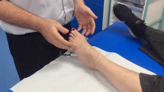 How to check for the dorsalis pedis amp anterior tibial pulse with a Doppler [upl. by Yeldnarb]