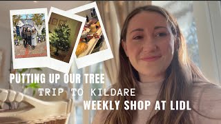 South Africans in Ireland  Putting up our Christmas tree  Kildare Village  Weekly Shop at Lidl [upl. by Wivinia]