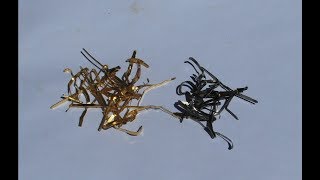 GOLD plated pins in thiourea  citric acid electrolyte [upl. by Norahs]