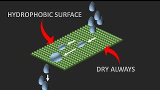 Science behind Hydrophobic technologies  The lotus effect [upl. by Annabel274]