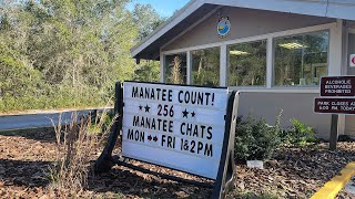 See the Mantatees at Blue Spring State Park Orange City Florida [upl. by Tinor]