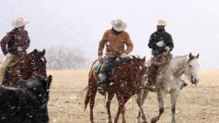 2016 Zoetis AQHA Best Remuda Award Winner Bartlett Ranch [upl. by Eneri]