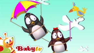 Pim amp Pimba de Pinguïns  Parachute 🪂​  BabyTVNL [upl. by Carnahan]