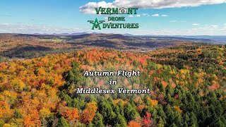 Autumn Flight in Middlesex Vermont 4K [upl. by Ballinger]