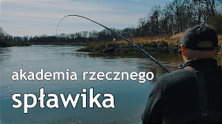 Akademia rzecznego spławika Bolonka niskobudżetowa Delphin Cz 1 [upl. by Cook333]