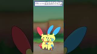 Plusle y Minun Yo te elijo Pokémon Furry [upl. by Lenz]