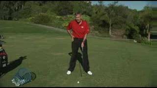 Understanding Golf  Proper Backswing Rotation amp Head Movemt [upl. by Yetty748]