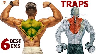 6 BEST TRAPS WORKOUT AT GYM  les meilleurs exercices Musculation trapèzes [upl. by Hillman]