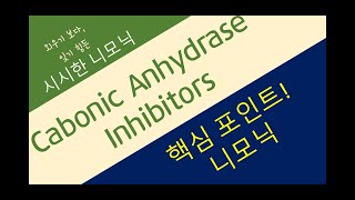 탄산탈수효소억제제 Carbonic anhydrase inhibitors [upl. by Phippen]