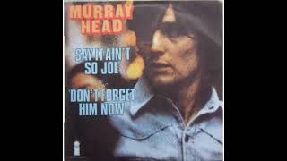 Murray Head  Say it aint so Joe 1975 [upl. by Roch588]