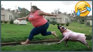 Full Video Try Not To Laugh Challenge 😂 ▶ LEVEL 15  Instant Regret Fails Compilation 2024 [upl. by Oby707]