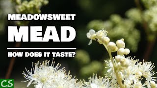 Meadowsweet Mead Tasting  Something Surprising Happened [upl. by Felicity885]