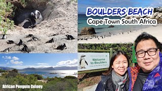 Boulders Beach Cape Town South Africa  Places And Foods [upl. by Aynotal]