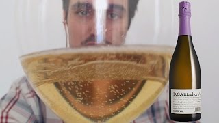 Mi Cava Favorito por menos de 12€ DG Viticultors Brut Reserva [upl. by Arney541]