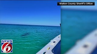 Woman loses arm 2 teens injured in separate shark attacks on popular Florida beach [upl. by Massingill315]