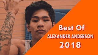 Best Of Tricking  Alexander Anderson 2018 [upl. by Brunella]