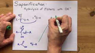 Saponification Hydrolysis of Esters with OH [upl. by Torbert]