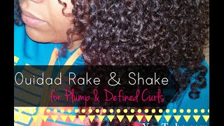 Plump Defined Curls with NO Frizz The Ouidad Rake amp Shake Method [upl. by Adiazteb]