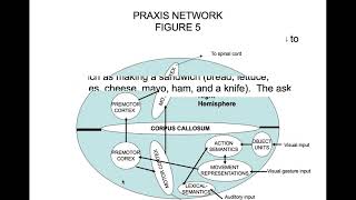 Apraxia Part 3 Conceptional Ideational and Construction Apraxia [upl. by Lovell]