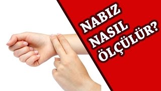 Nabız Nasıl Ölçülür [upl. by Ikcim831]