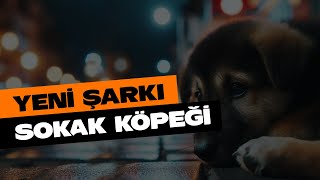 Yapay Zeka ile Yeni Şarkı Sokak Köpeği [upl. by Yhtorod]