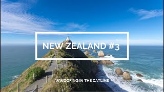 WWOOFING New Zealand 3 Work amp Travel [upl. by Htez906]