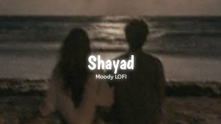 Shayad  Slowed  Reverb   Love Aaj Kal  Arijit Singh  Moody LOFI [upl. by Lorenzo854]