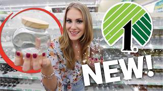 🔥 10 NEW Dollar Tree Organizers  HACKS you need🔥 [upl. by Aicilav]