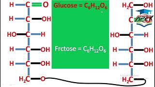 L2  Carbohydrates  Oligosaccharides  ch14  10th Chemistry [upl. by Aicek]