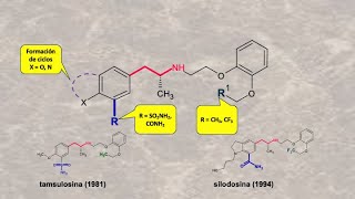 SolifenacinaTamsulosina padecimientos urinarios síntesis introduccuón [upl. by Halfdan]