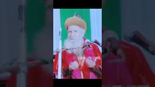 Hashmi Miyan ki takrir video 🥰 [upl. by Adnara]