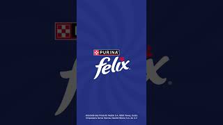 Purina® Felix® [upl. by Anaibib]