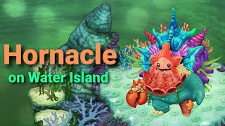 Hornacle on Water Island  Celestial Journey [upl. by Etheline]