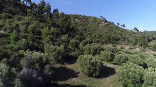 Land For Sale in Halkidiki ID HL 1111 [upl. by Cormac]