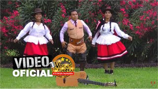 VOCES DE ORO DE ANTABAMBA ► ANTABAMBINO PURICHAN ☛ ♫ PRIMICIA HUAYLIA 2016 ♫ [upl. by Danzig]