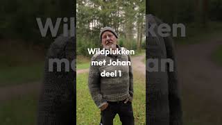 🌿 Wildplukken met Johan  Deel 1🌿 [upl. by Quar]